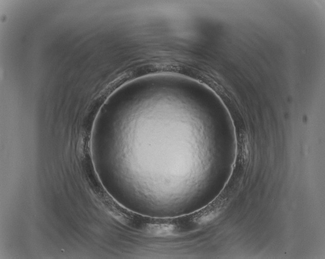 X0000085060266200703121532