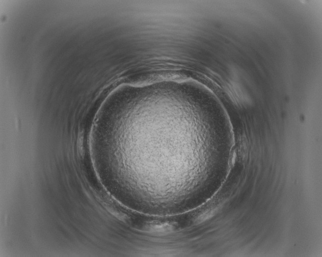 X0000085060267200703121532