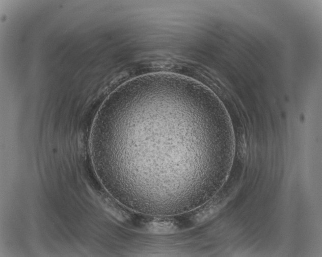 X0000085060270200703121532