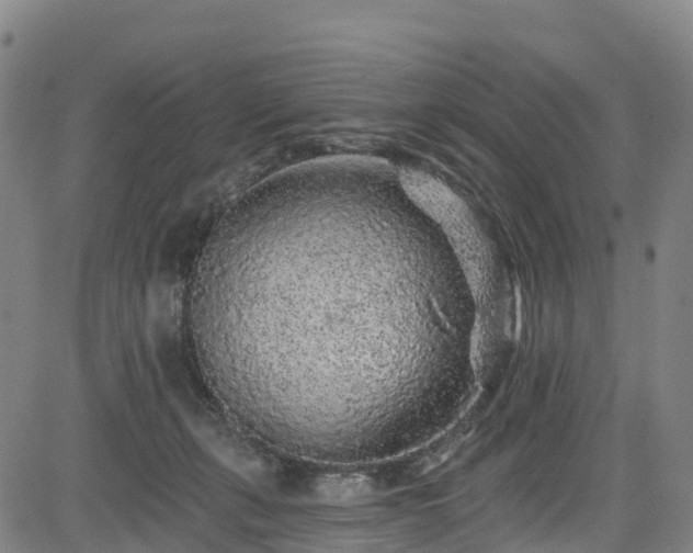 X0000085060271200703121532