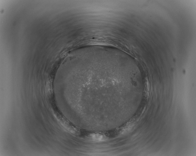 X0000085060272200703121533