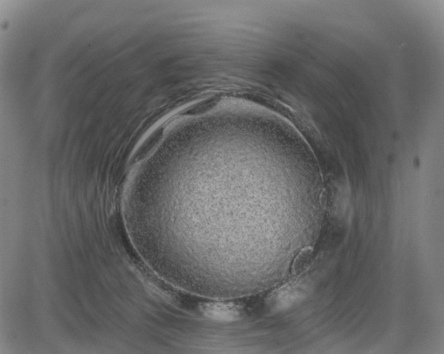 X0000085060273200703121533