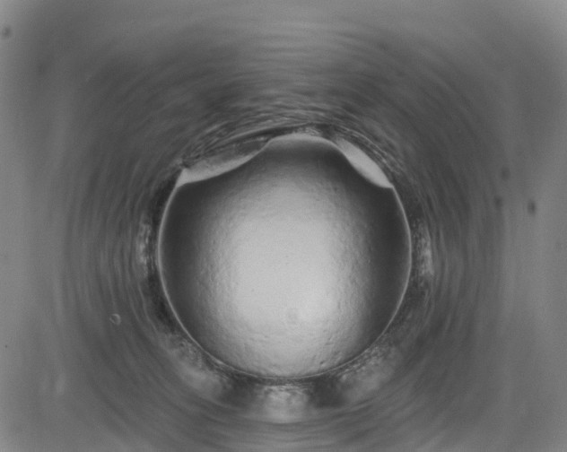 X0000085060275200703121533