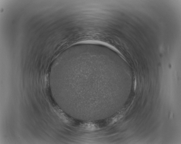 X0000085060276200703121533