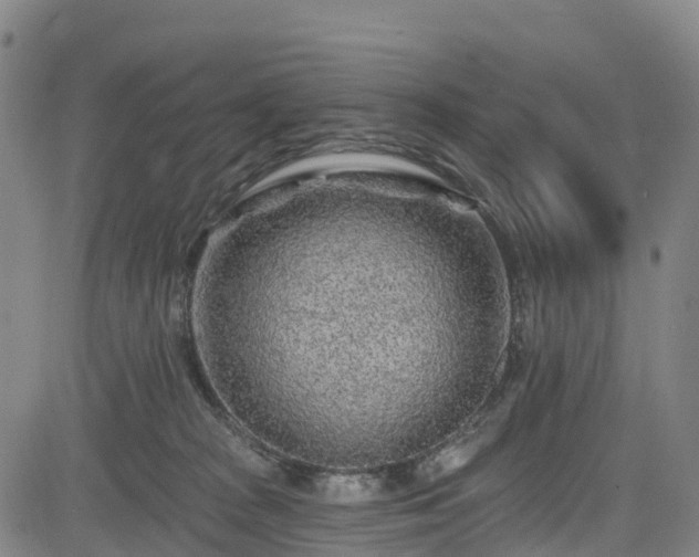 X0000085060277200703121533