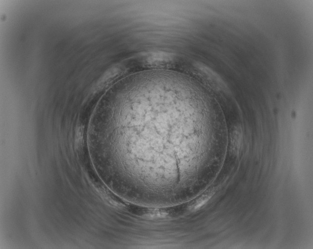 X0000085060278200703121533