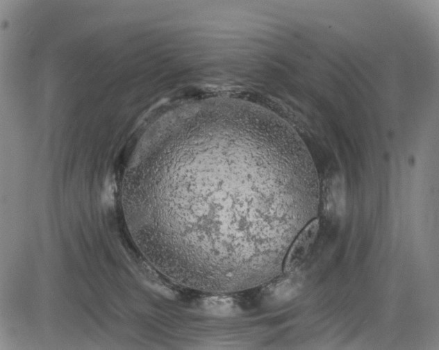 X0000085060279200703121533