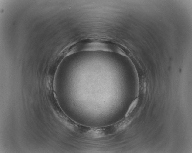 X0000085060280200703121533