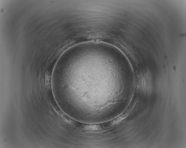 X0000085060281200703121533