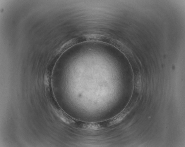 X0000085060282200703121533