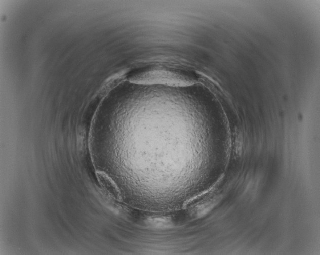 X0000085060283200703121533