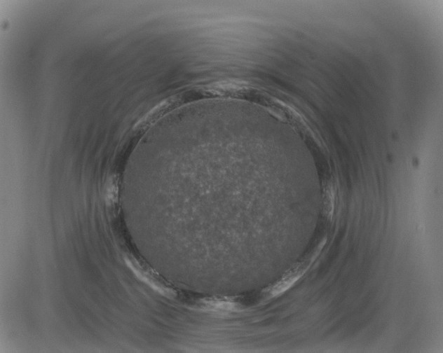 X0000085060284200703121533