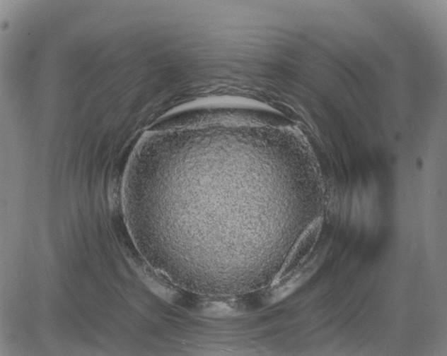 X0000085060285200703121533