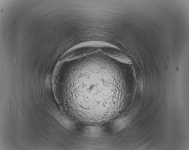 X0000085060286200703121533