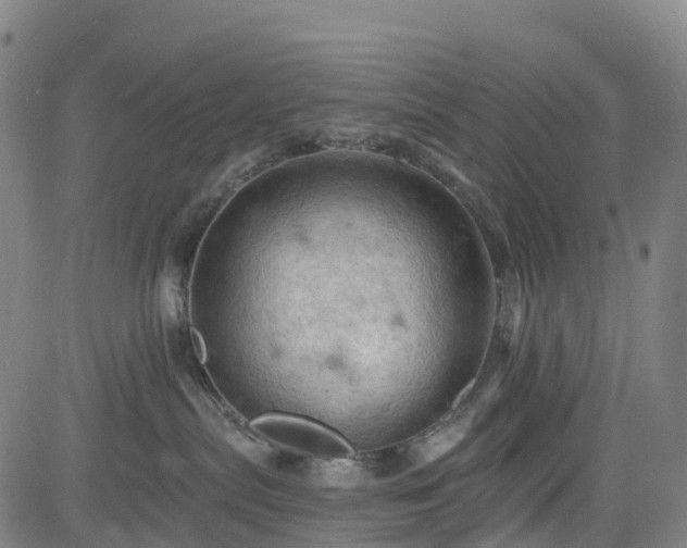 X0000085060287200703121533