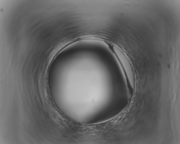 X0000085060289200703121532