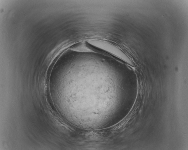 X0000085060290200703121532