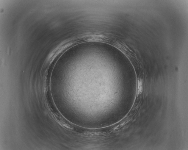 X0000085060291200703121532