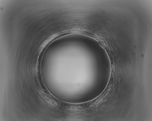 X0000085060292200703121532