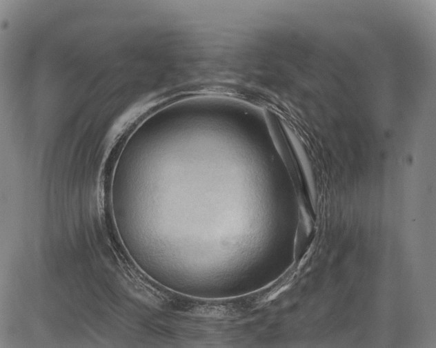 X0000085060294200703121532