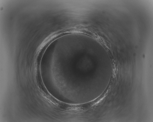 X0000085060295200703121532