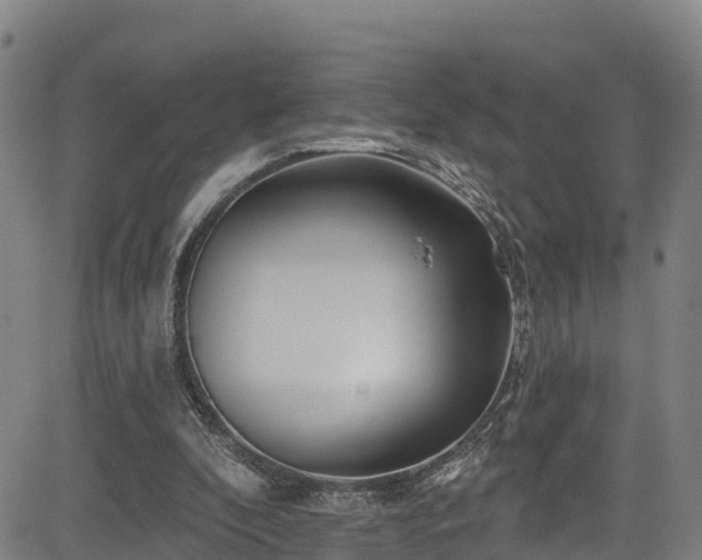 X0000085060296200703121532