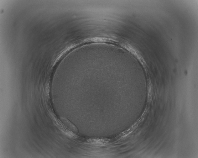 X0000085060297200703121532