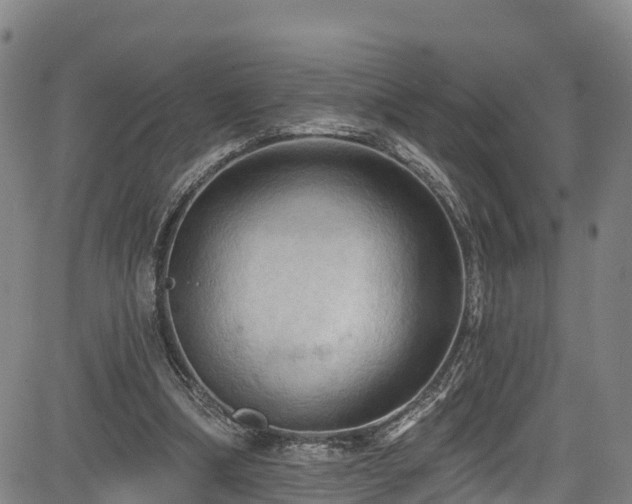 X0000085060298200703121532