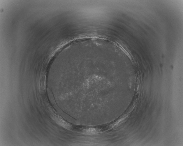 X0000085060301200703121532