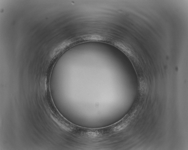 X0000085060302200703121532