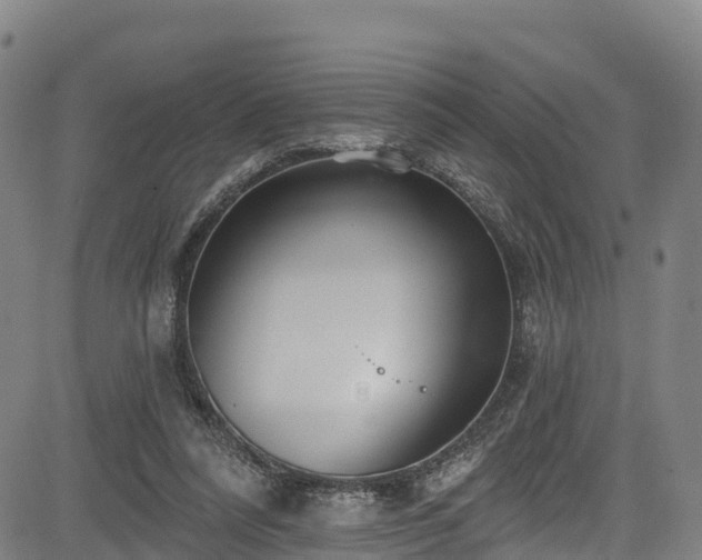 X0000085060304200703121532