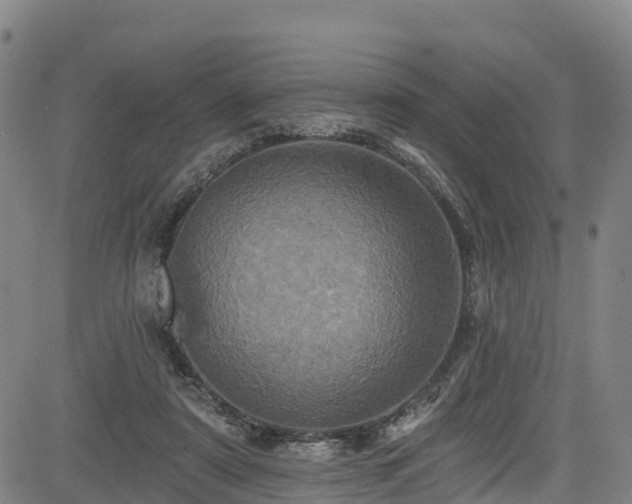 X0000085060307200703121532