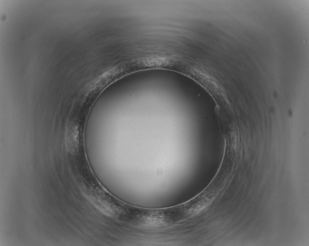 X0000085060308200703121532