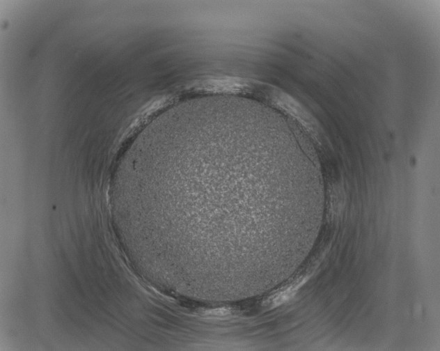 X0000085060309200703121532