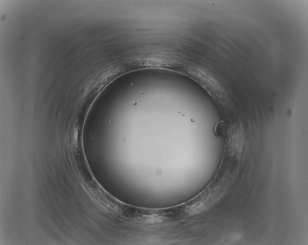 X0000085060310200703121532