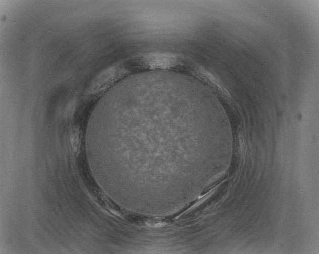 X0000085060311200703121532