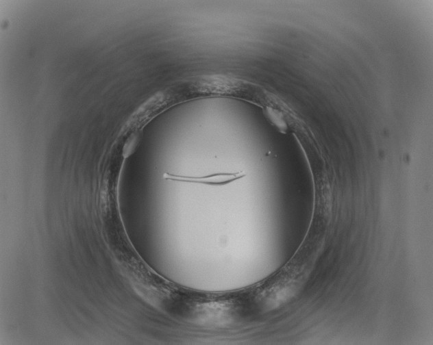 X0000085060312200703121532