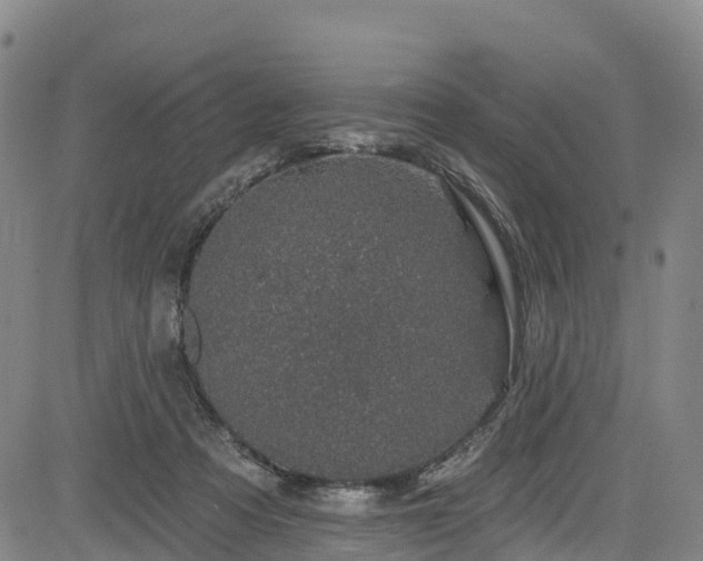 X0000085060313200703121532