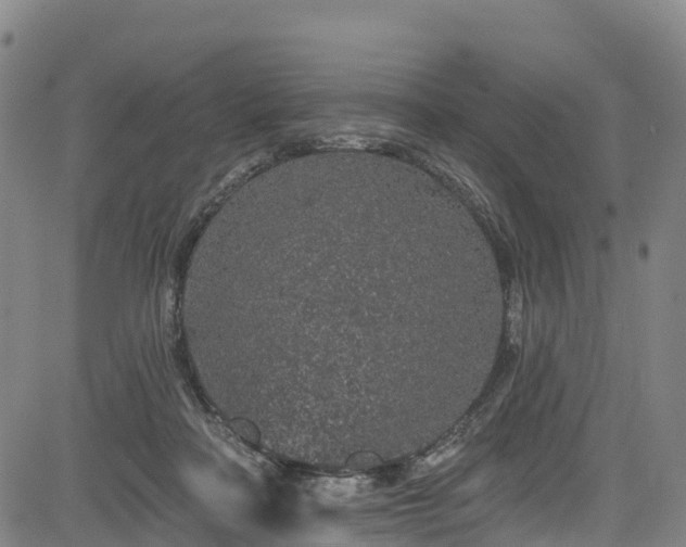 X0000085060314200703121532