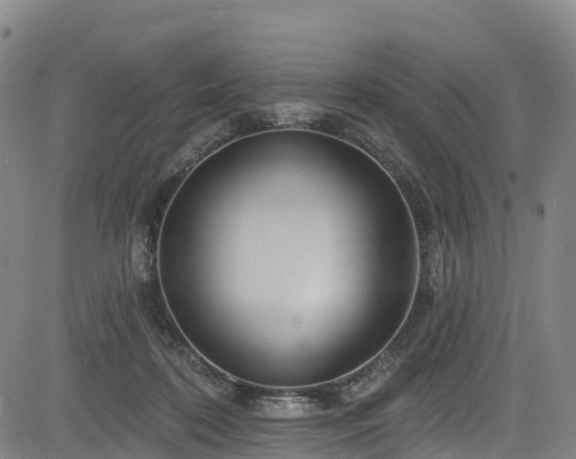 X0000085060316200703121532