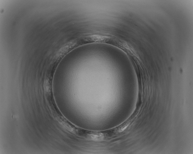 X0000085060317200703121532