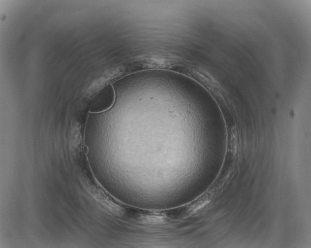 X0000085060318200703121531