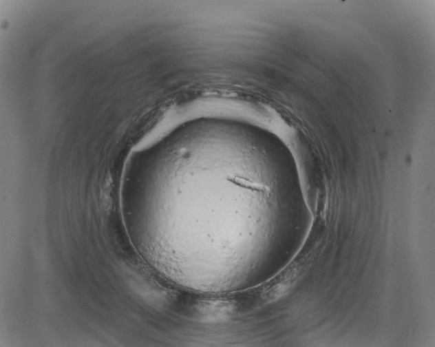 X0000085060319200703121531