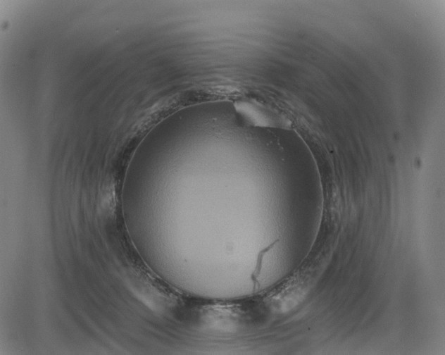 X0000085060320200703121531