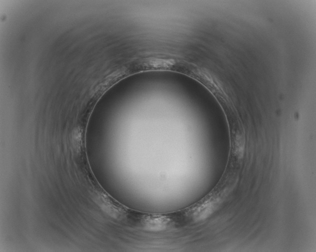 X0000085060321200703121531