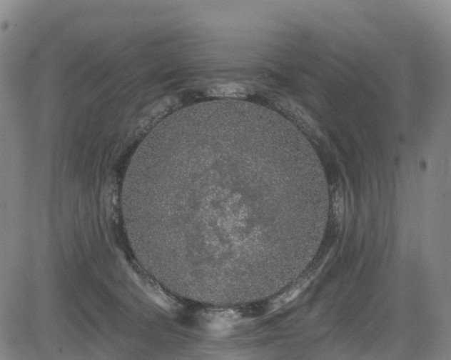 X0000085060322200703121531