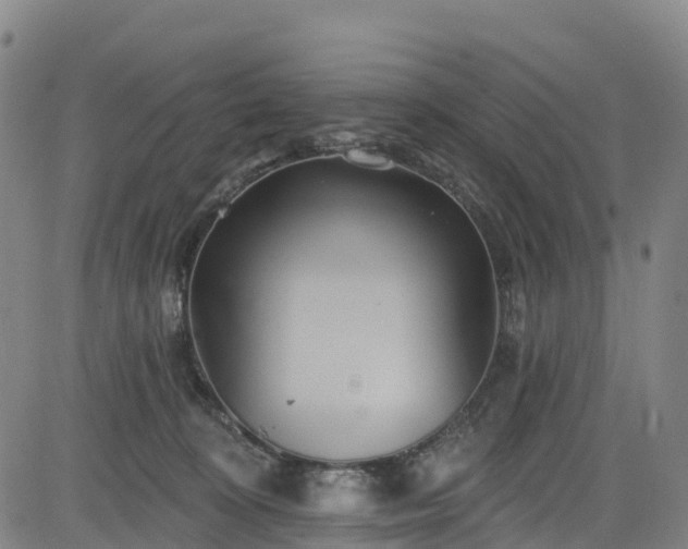 X0000085060324200703121531