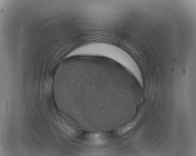 X0000085060325200703121531