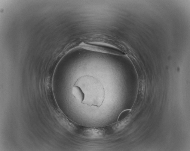 X0000085060326200703121531