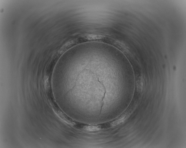 X0000085060327200703121531